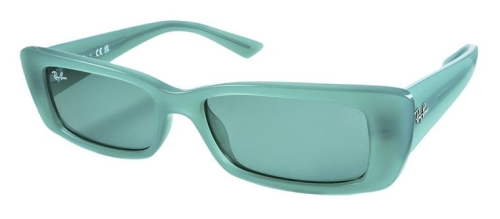 okulary_RAY-BAN RB 4425 TERU 6762_82.jpg