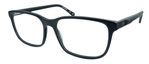 okulary_HARLEY DAVIDSON HD 50061 002.jpg
