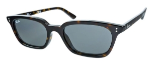 Okulary Ray-Ban® Zaya RB4456-135987
