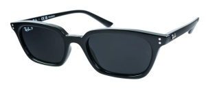Okulary Ray-Ban® Zaya RB4456-667781