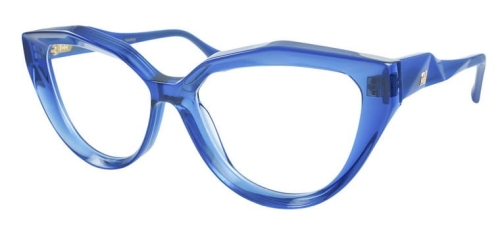 okulary_ANA HICKMANN AH 6595 T01.jpg