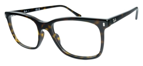 okulary_RAY-BAN RB 5446 2012.jpg