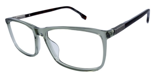 okulary_BOSS 1834_G 1ED.jpg