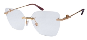 Okulary Dolce & Gabbana DG 1363 1298