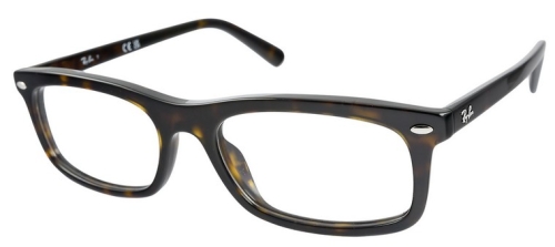 okulary_RAY-BAN RB 5450 2012.jpg