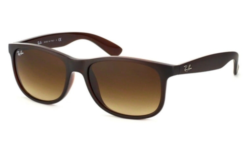 Ray-Ban Andy RB4202-607313