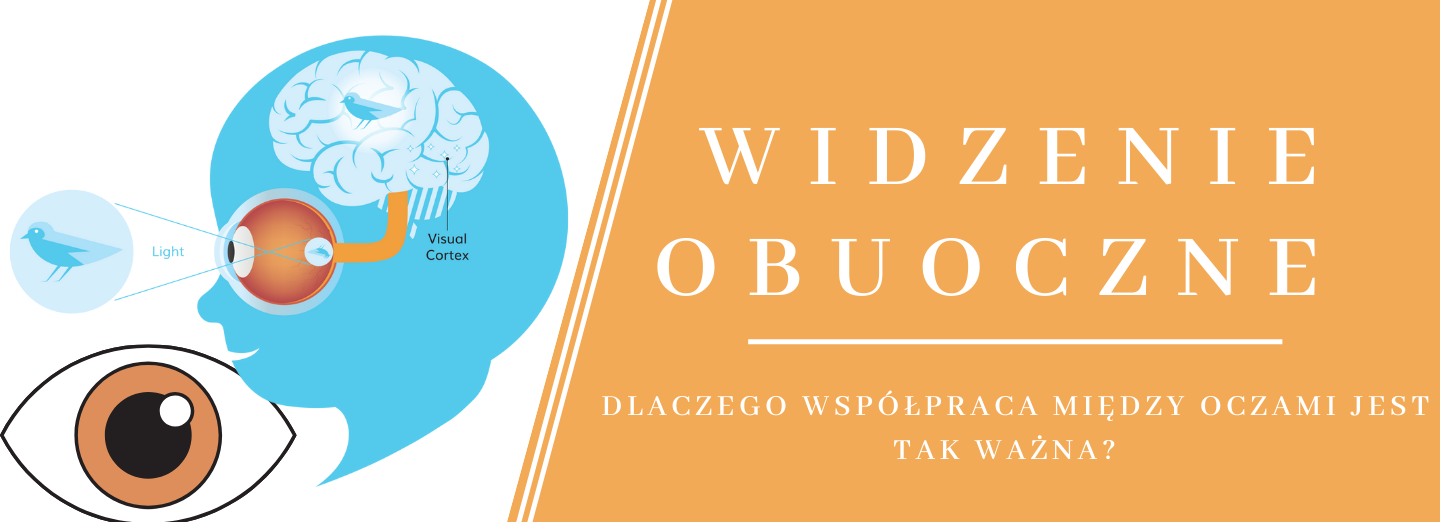 WIDZENIE OBUOCZNE